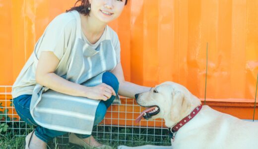 犬がゼリー状のうんちをする原因とは？正しい対処法や予防法および食事の重要性を解説